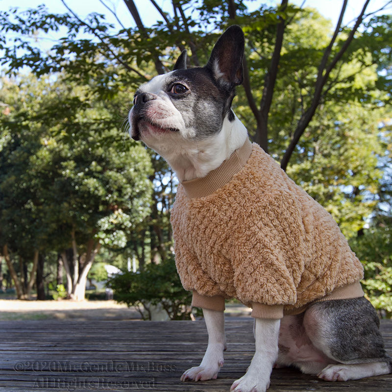 サムネイル： MocoMocoシリーズ プルオーバー ベージュ