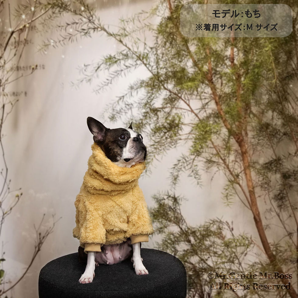 サムネイル： ダイヤ編み模様ボアフリース☆Pullover☆Bear Beige