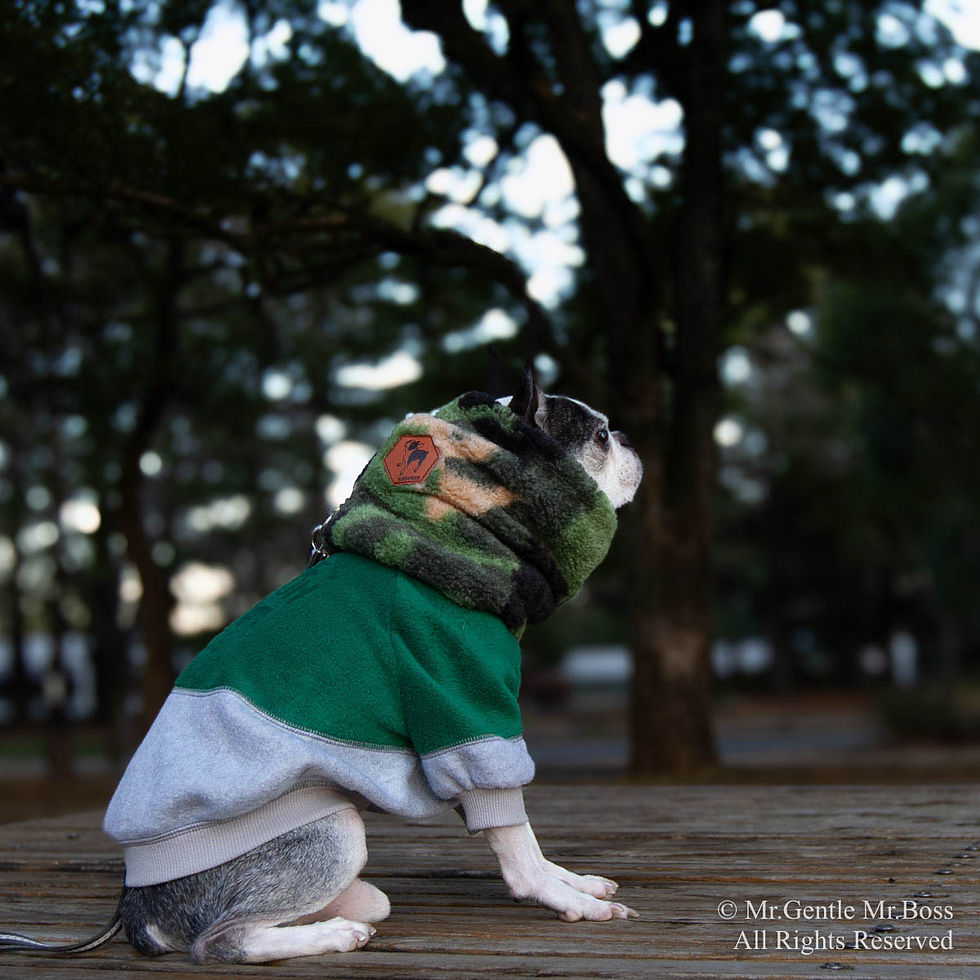 サムネイル： 切替ラグランフリース Pullover Green&Grey