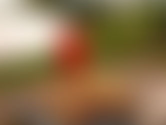 Que faire de mon Week End autour du Ranch Canin Wood'cie ?