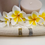 Miniature : Bague Pauline (78)