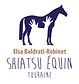 Logo appartenant à Shiatsu Équin Touraine ©
