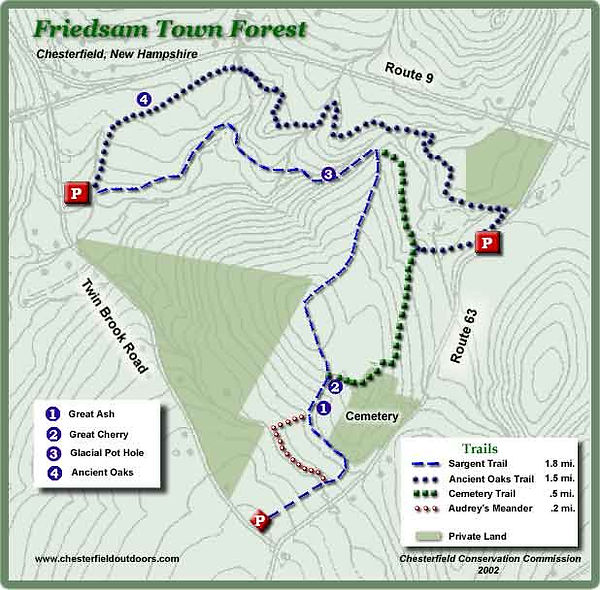 FriedsamTown Forest Map.jpg