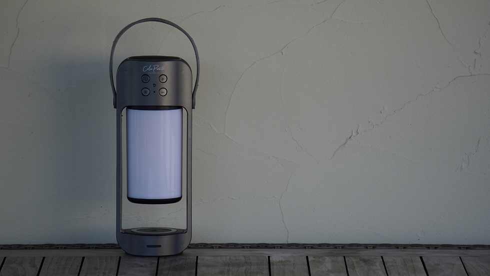 ALPHA 1600×900 (1).png