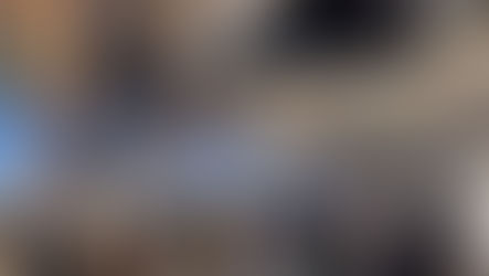 🐇Attention All Concerned Citizens!!! 🐇