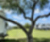 c8c4be19-f3bf-4317-9a0f-2fd5ee9f6082_edited.jpg