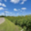 e9cb9067-ff49-493c-90b0-a3f08dab3642.jpg