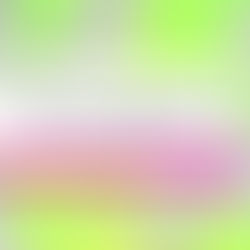 11 Steps to Starting a DTC Business as a Female Founder