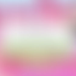 How To Start a Business With No Money (5 Steps)