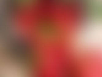 残留農薬!日本などから輸入のイチゴに基準値超え残留農薬、1210キロすべて返送・廃棄―台湾メディア