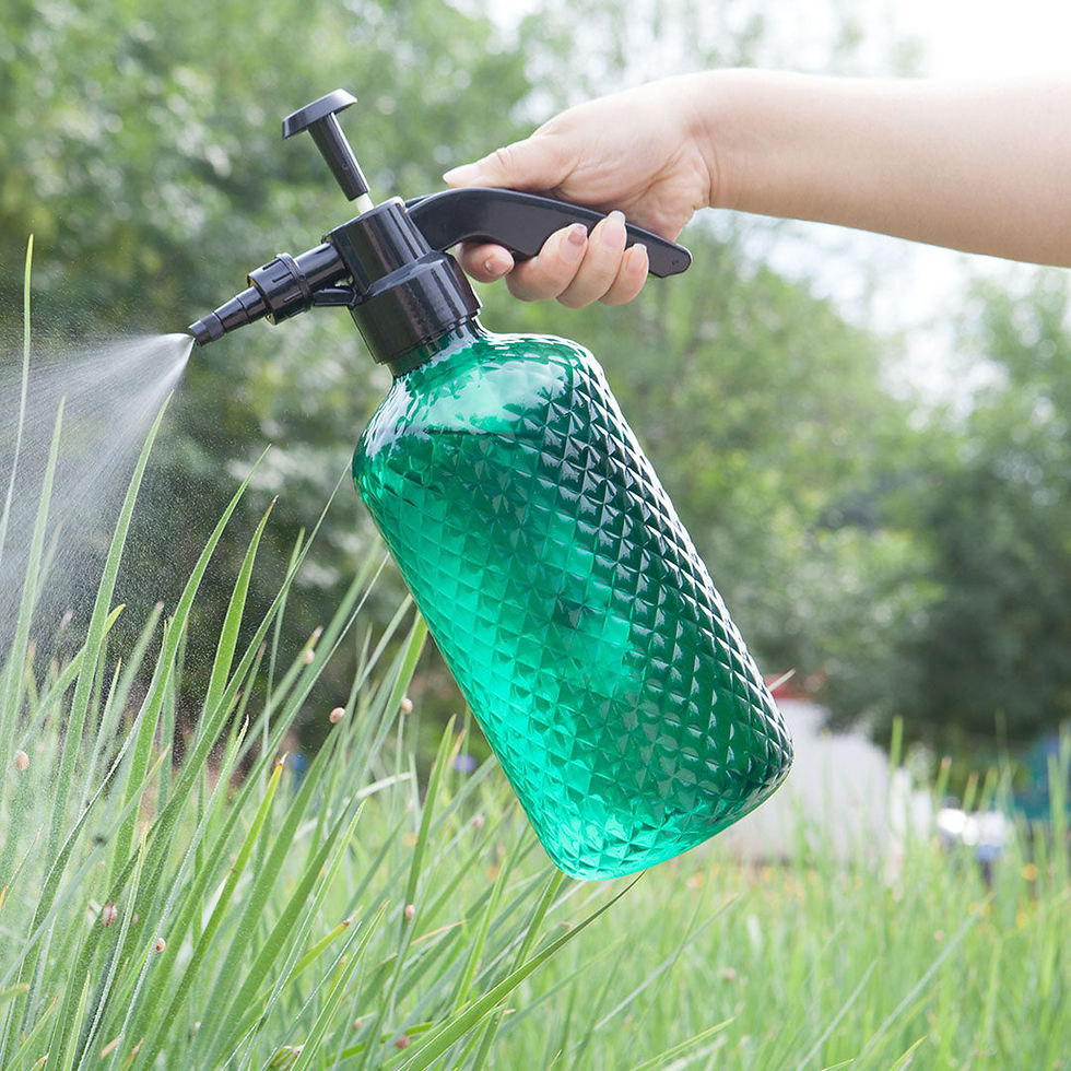 Thumbnail: SOGA 4-Pack 2L Mist Water Spray Bottle with Adjustable Nozzle and Top Pump