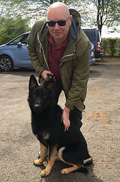 dog training