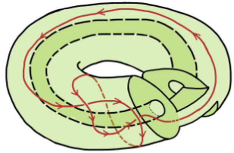 Knot in thickened punctured torus.