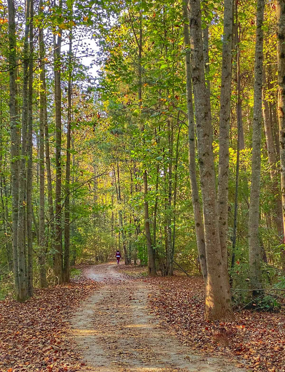 1_Reeves-Creek-Trail.jpg