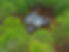 4-web-or-mls-DJI_0583.jpg
