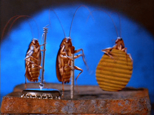 Pest Patrol Gets a $90M Badge
