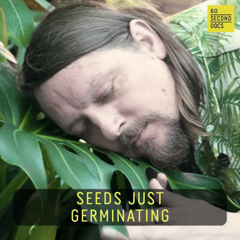 Seed Sovereignty Gets Planted
