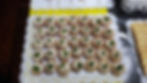 Tartaletas de Atún o de Pollo