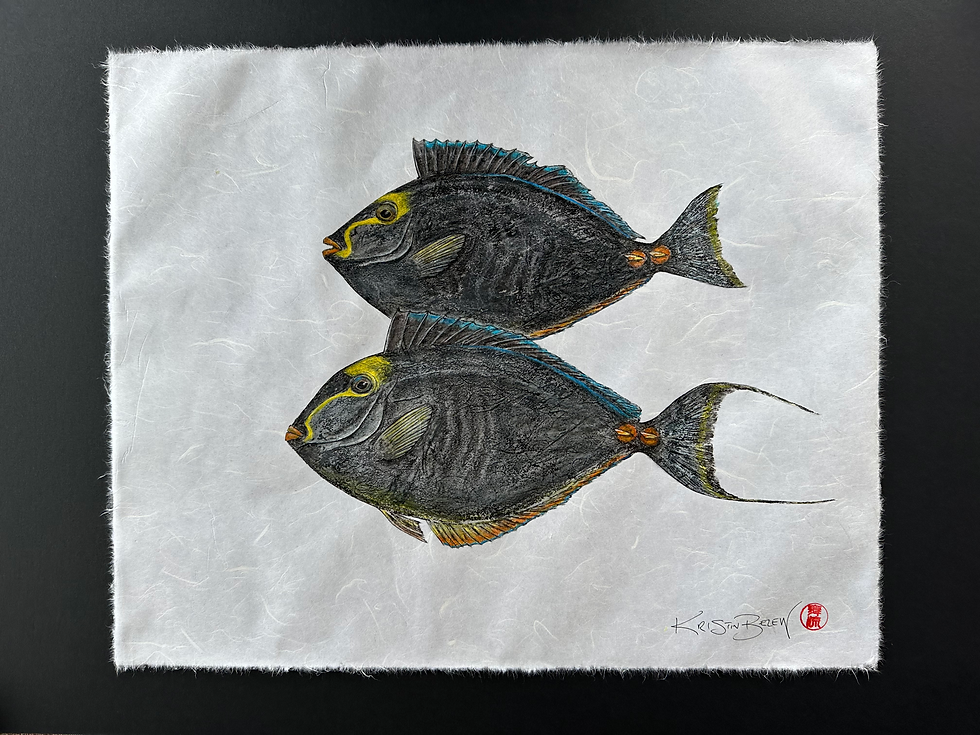 Thumbnail: "The Odd Couple 2"- Orange-spine Unicornfish