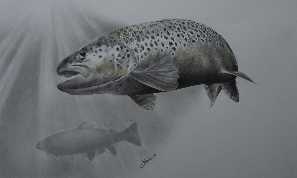 Desenhos por encomenda 