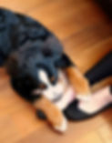 conanfeet_edited.jpg