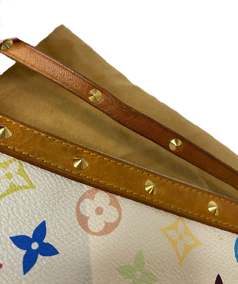 Thumbnail: Louis Vuitton Multicolor