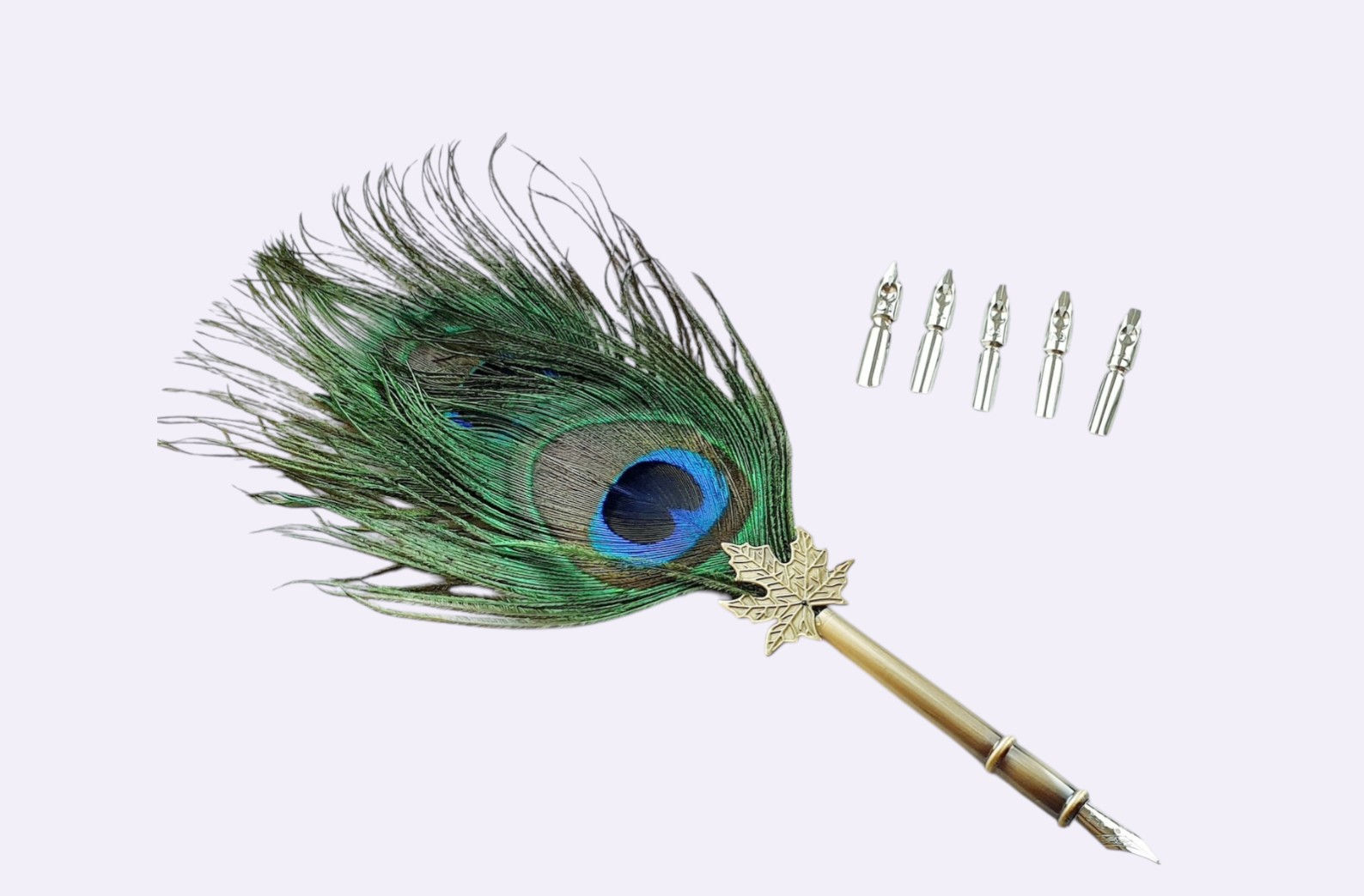 Peacock Feather Calligraphy Pen Set: Rustic Quill with 5 Nibs