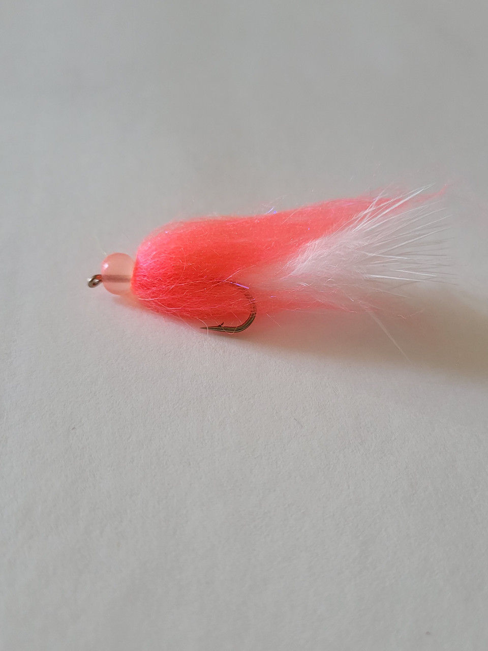 Thumbnail: Roe Egg Leech