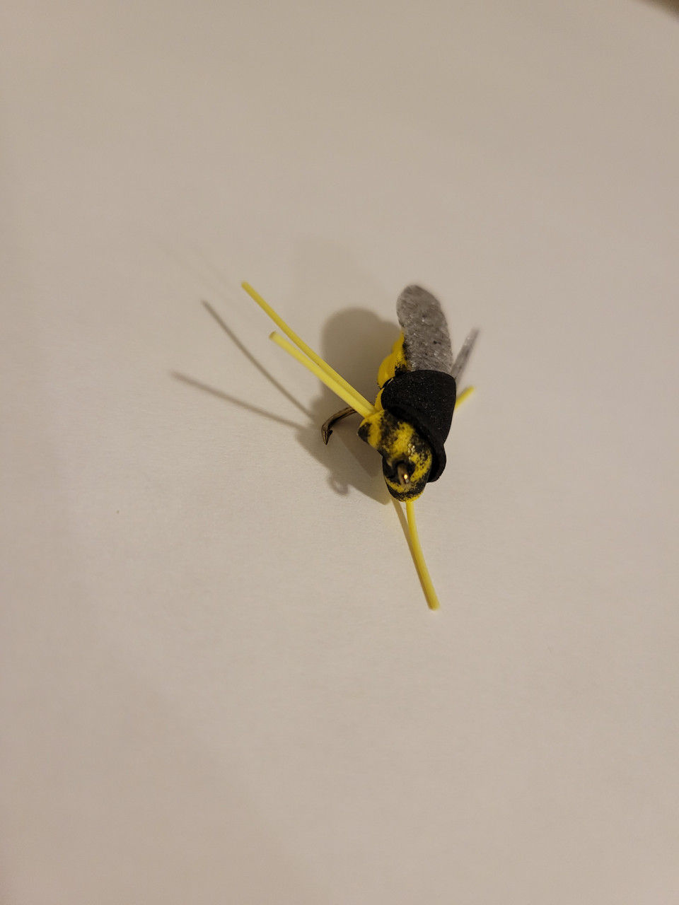 Thumbnail: Jumbo Horse Fly