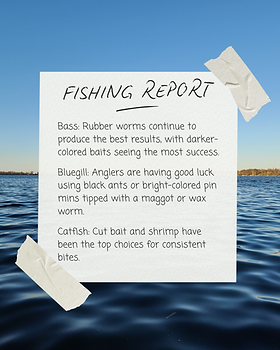 custom fish netting 31