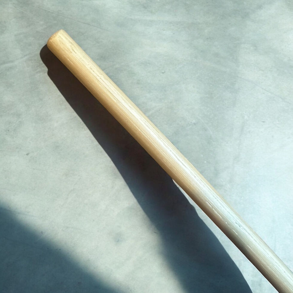 Thumbnail: BDSRoe 高密度太ケイン 70cm/直径1.4cm