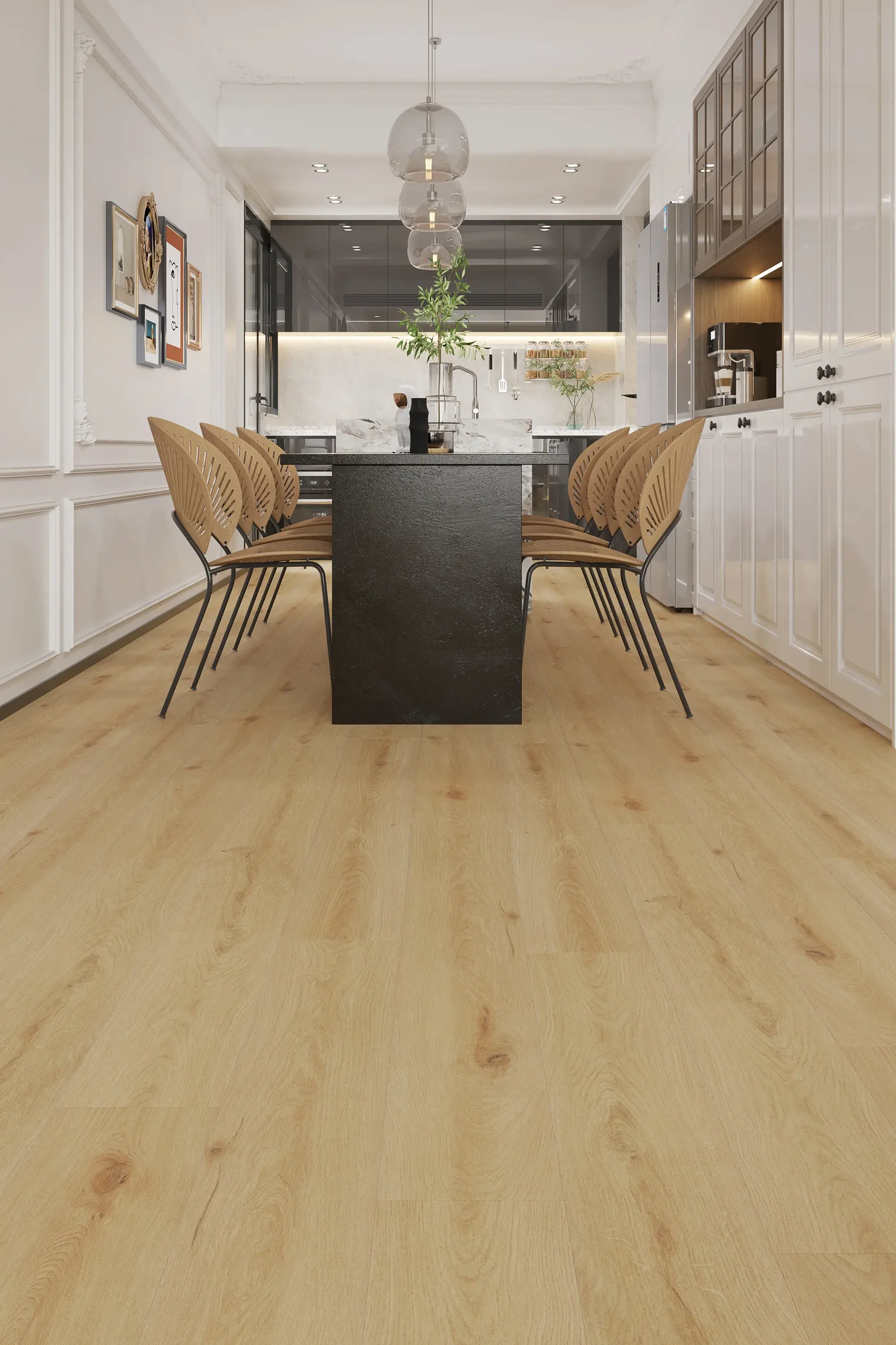 mcmillan-evolved-collection-novella