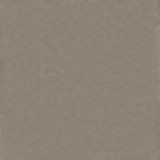 dreamweaver-galactic-2081-pebble-hill