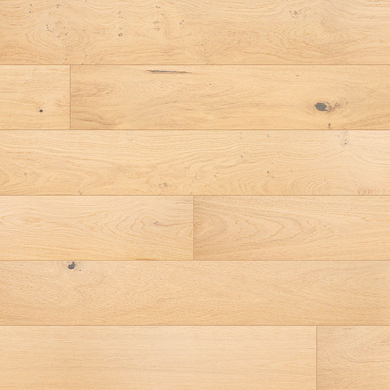 msi-mccarran-bramlett