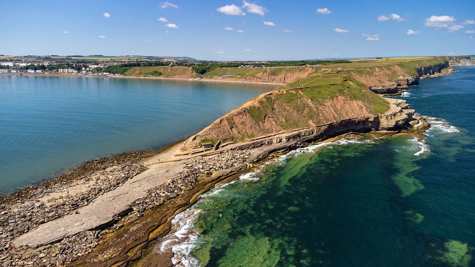 A coastal view of Filey Brigg near Bungalow Farm in Buckton, showing rugged cliffs, rocky shoreline and calm blue sea under a clear sky on the Yorkshire coast.