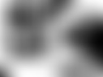 Exercise 3: Alternative publications