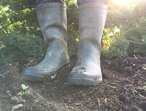 gummistövlar odling