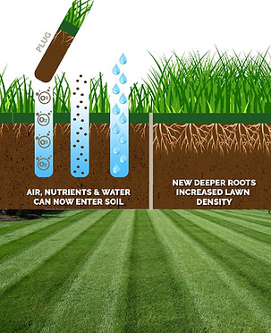 aeration diagram.jpg