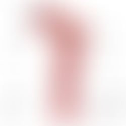 Bones: Bone Structure