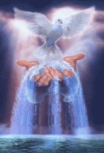 Quaan vnebovzetje.gif