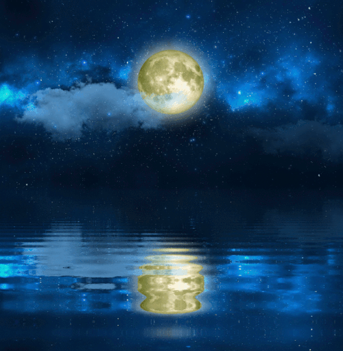 Luna v vodi.gif