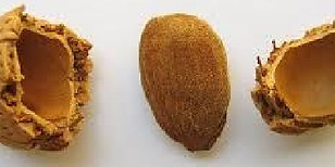 Center Zavesti VD.jpg