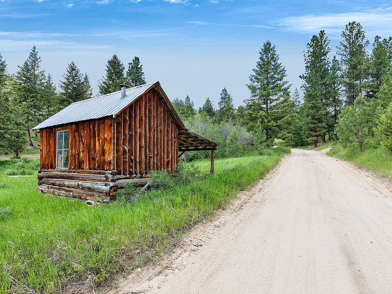 Wooden cabin beside a dirt road, surrounded by lush green grass and tall pine trees under a clear blue sky, creating a serene rural scene.