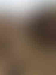 Photo by Calen Rose Photography