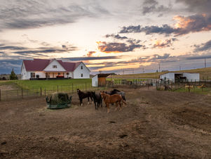5-Acre Horse Property in the Heart of Montana at 6301 Fox Farm Rd in Great Falls