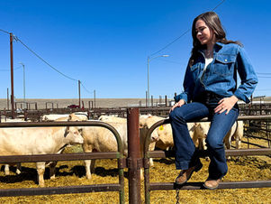 We Asked, Kate Stephens Answered.