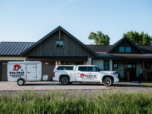 Getting to the Root of the Problem: A Smarter Way to Control Pests