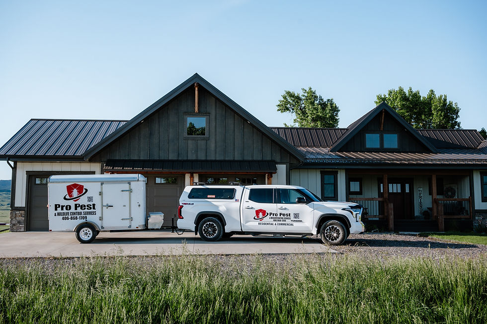 White Pro Pest control truck and trailer parked in front of a modern house with a grey roof, surrounded by greenery under a clear blue sky.