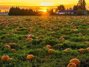 Halloween in Montana 2025: Haunted Attractions, Family Activities & More