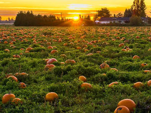 Halloween in Montana 2025: Haunted Attractions, Family Activities & More